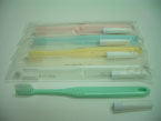 Disposable Toothbrush